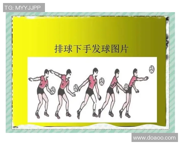 从零开始掌握排球节奏技巧全面指南助你轻松成为排球高手
