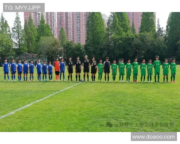 上海足球队的战术变革与球员适应性分析深度研究